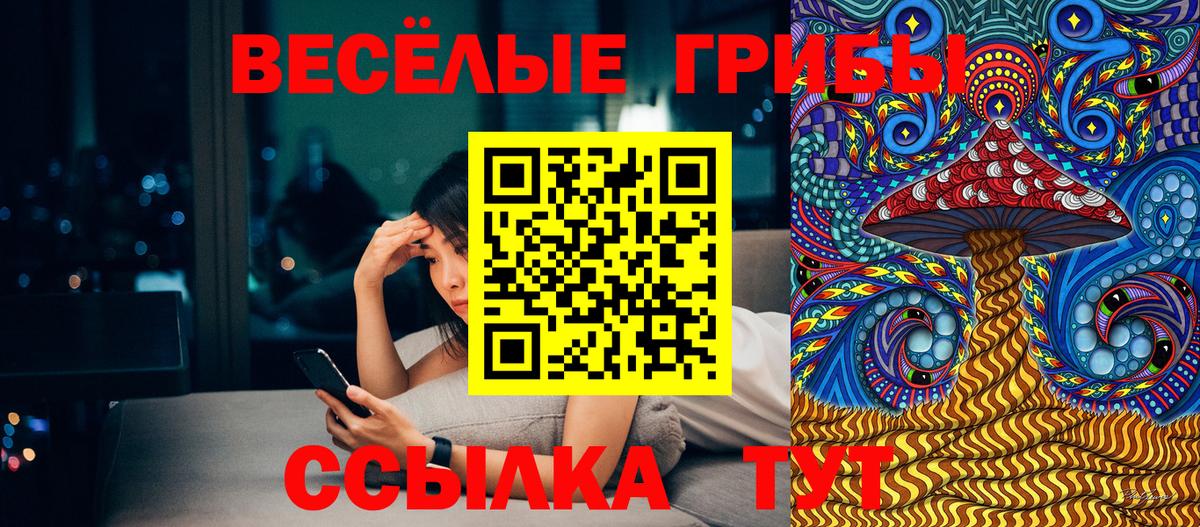 Псилоцибиновые грибы Psilocybe  Псилоцибиновые грибы GOLDEN TEACHER  Ялта  Вход с VPN 